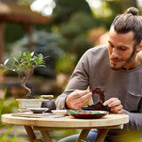 Lego Creator Expert Arbol Bonsai