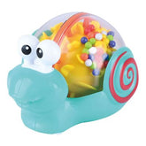 Caracol Sonajero Display