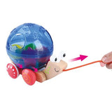 Caracol Clasificador de Arrastre Madera