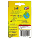 Crayon Set 24 Unidades