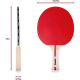 Set 2 Raqueta Ping Pong & Pelota