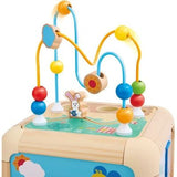 Cubo de Actividades Zanahoria