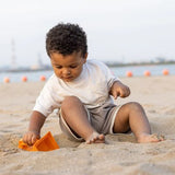 Pala Bulldozer Arena