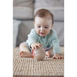 Insecto Interactivo de Juego Bebe