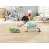 Fisher Price Linkimals Tortuga