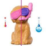 Barbie - Fiesta en Piscina con Perrito