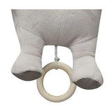 Peluche Musical León