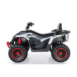 Four Wheel Eléctrico