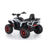 Four Wheel Eléctrico