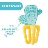 Mordedor Refrescante Cactus 4m+