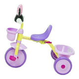 Minnie Triciclo Musical C/activ.