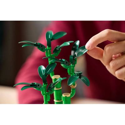LEGO Botanicals Bambú de La Suerte