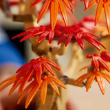 LEGO Botanicals - Japanese Red Maple Bonsai Tree