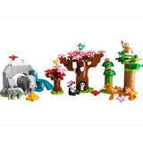 Lego Duplo: Animales Salvajes Asia