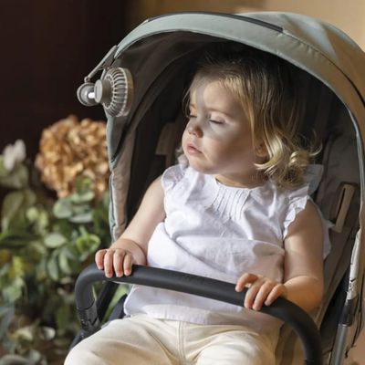 Abanico para Coche Poppy Musgo