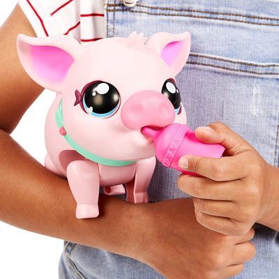Little Live Pets Cerdito S1