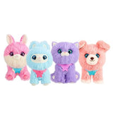 Scruff A Luvs - S3 Rainbow Surtido