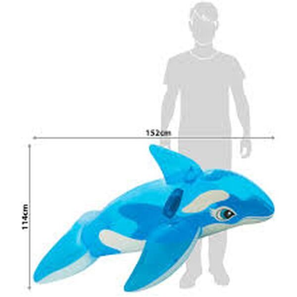 Flotador Ballena 66 X 34 3+