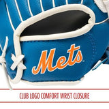 Set Guante y Pelota MLB Mets