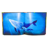 Libro Infantil Ilustrado Surtido