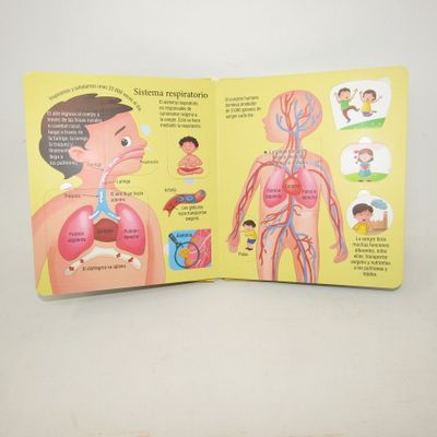 Libro Cuentos Pestañitas Curiosas