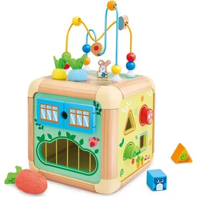 Cubo de Actividades Zanahoria