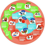 Rompecabeza era de la Piedra