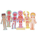 Rompecabezas Magnético Cuerpo Humano