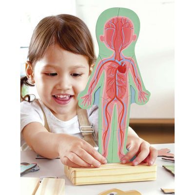 Rompecabezas Magnético Cuerpo Humano